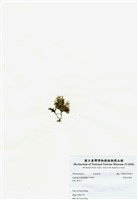 藏品(異枝軟骨凹頂藻)的圖片